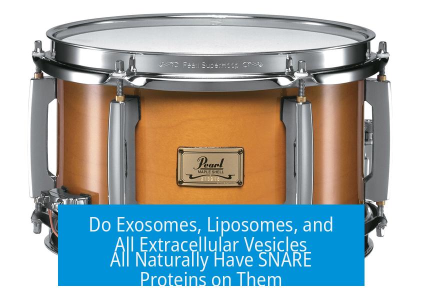 Do Exosomes, Liposomes, and All Extracellular Vesicles All Naturally Have SNARE Proteins on Them?