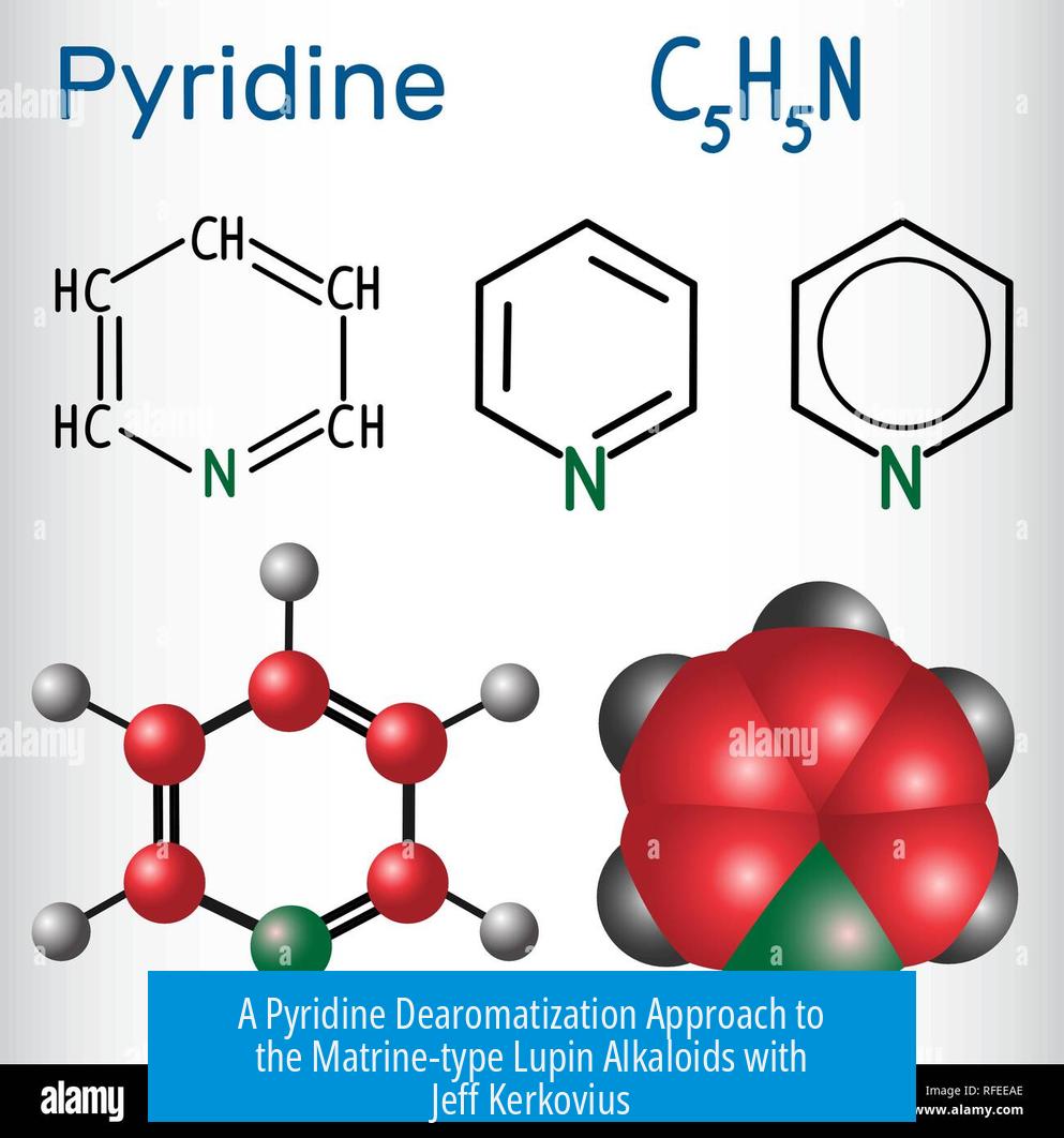 A Pyridine Dearomatization Approach to the Matrine-type Lupin Alkaloids with Jeff Kerkovius
