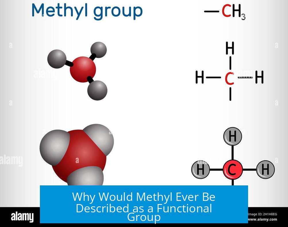 Why Would Methyl Ever Be Described as a Functional Group?