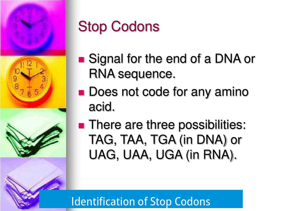 Identification of Stop Codons