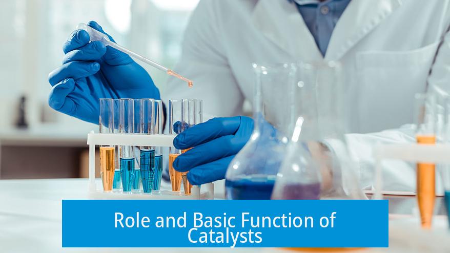 Role and Basic Function of Catalysts