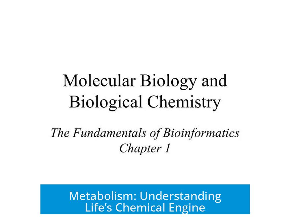 Metabolism: Understanding Life’s Chemical Engine