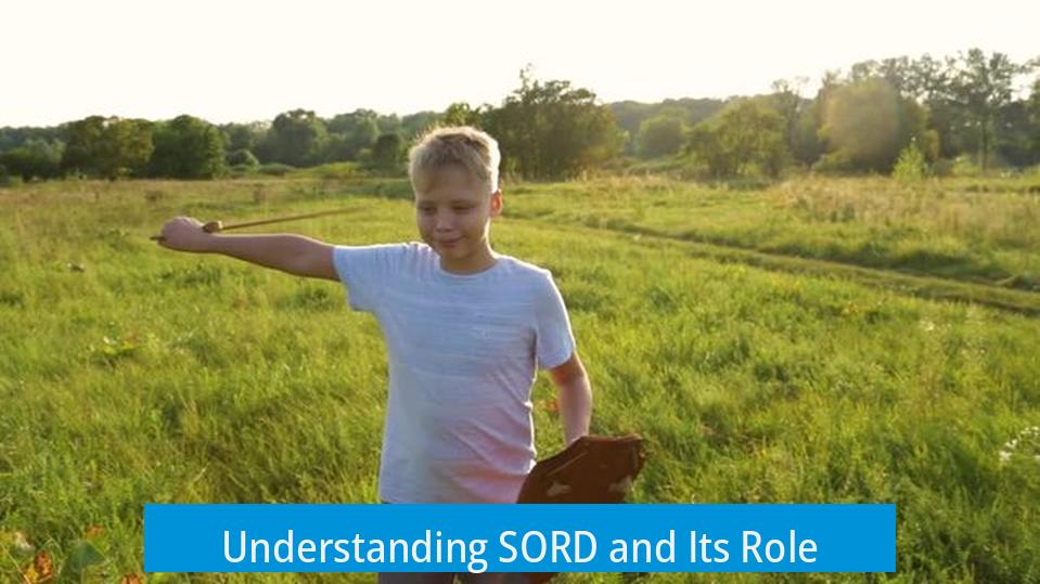 Understanding SORD and Its Role