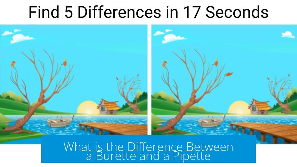 What is the Difference Between a Burette and a Pipette?