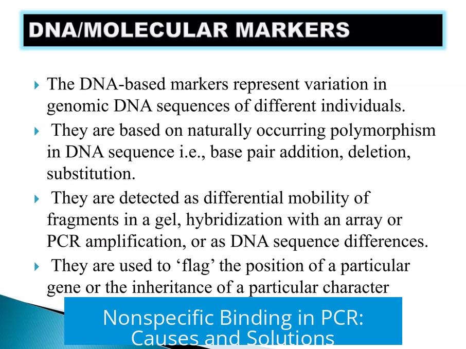 Nonspecific Binding in PCR: Causes and Solutions