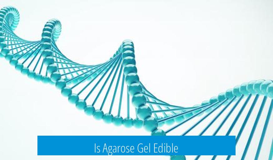 Is Agarose Gel Edible?