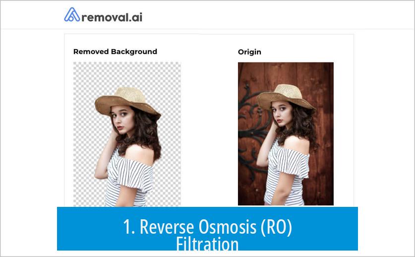 1. Reverse Osmosis (RO) Filtration