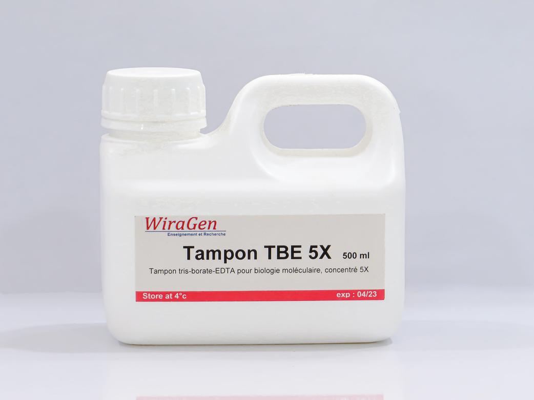 1x TBE has higher ionic strength, yielding stronger buffering capacity during electrophoresis. This helps maintain pH stability over longer runs. However, the increased ion concentration can cause more heat generation at high voltages.