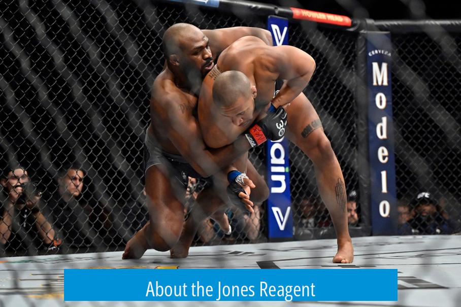 About the Jones Reagent