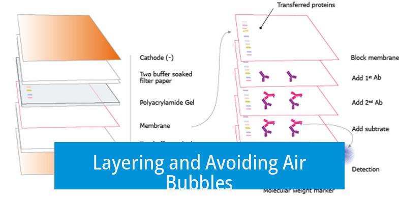 Layering and Avoiding Air Bubbles