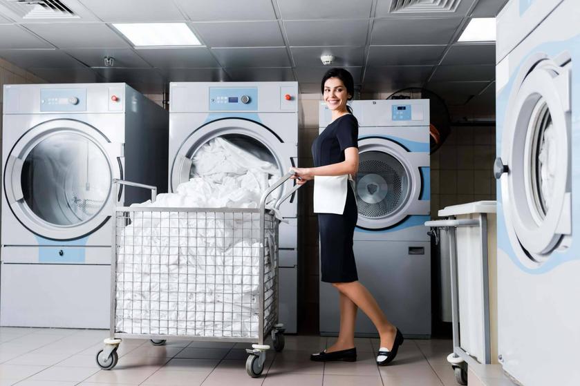Optimal Detergent Amounts and Chemical Ratios
