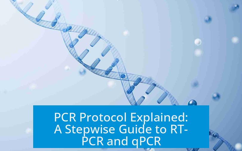 PCR Protocol Explained: A Stepwise Guide to RT-PCR and qPCR