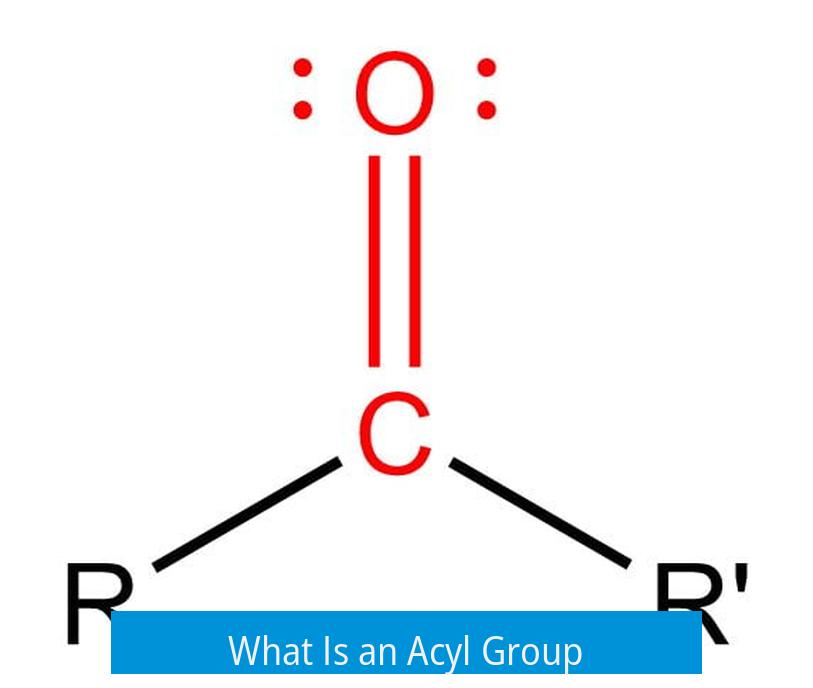 What Is an Acyl Group?