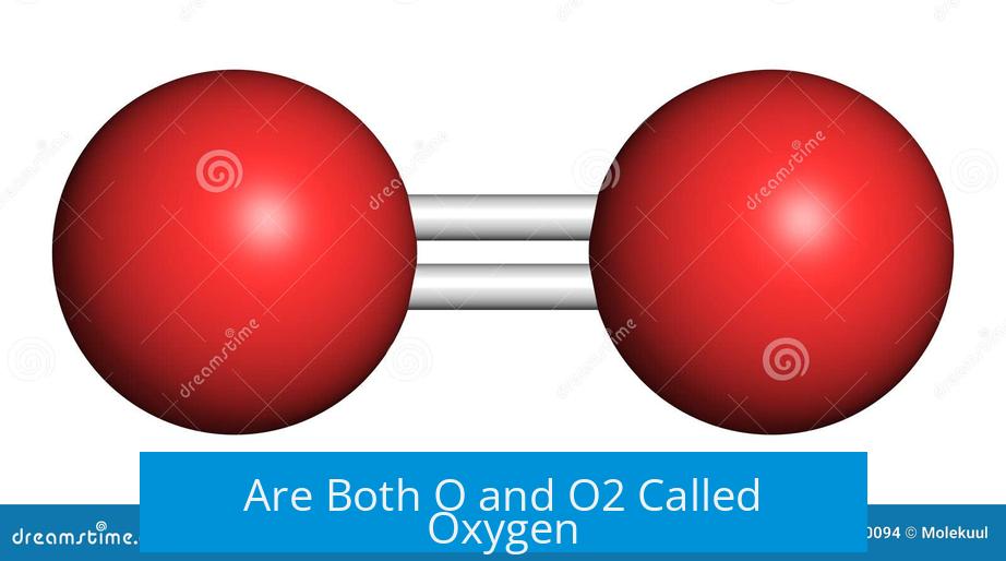 Are Both O and O2 Called Oxygen?