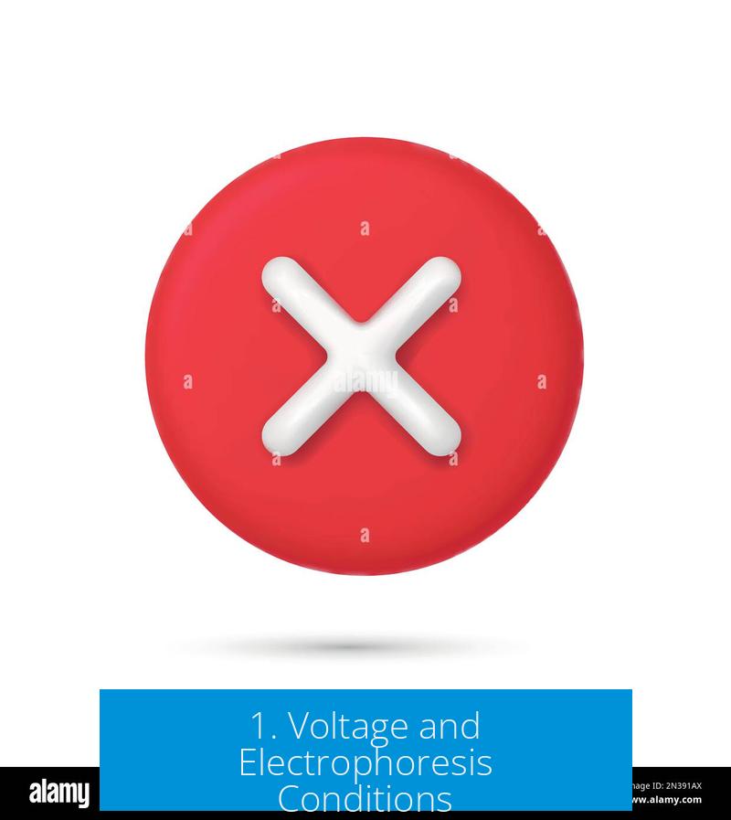1. Voltage and Electrophoresis Conditions