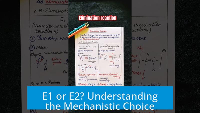 E1 or E2? Understanding the Mechanistic Choice