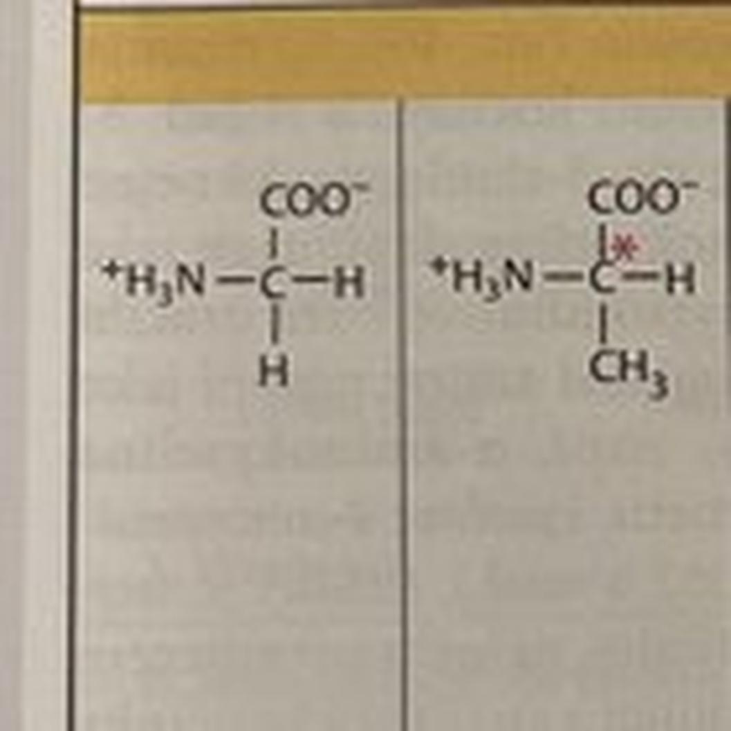 6. Summary of the Canonical Order