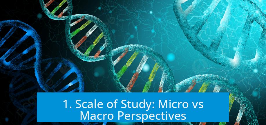 1. Scale of Study: Micro vs Macro Perspectives