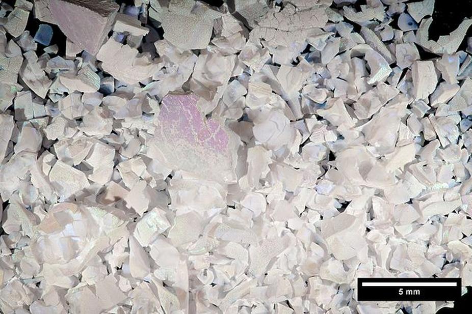 Chemical Composition and Structure of Opal