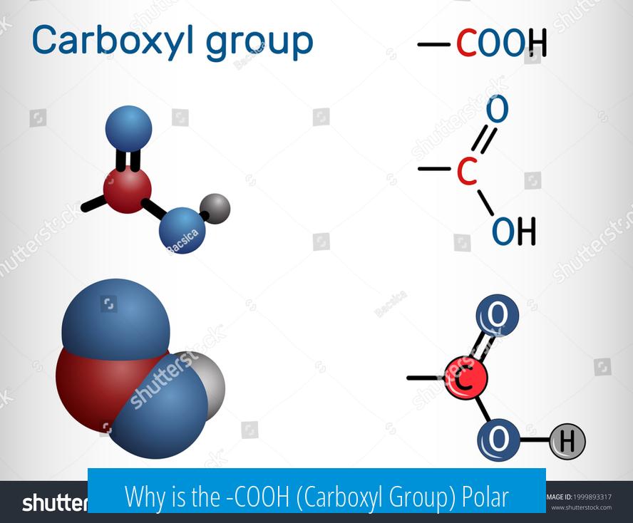 Why is the -COOH (Carboxyl Group) Polar?