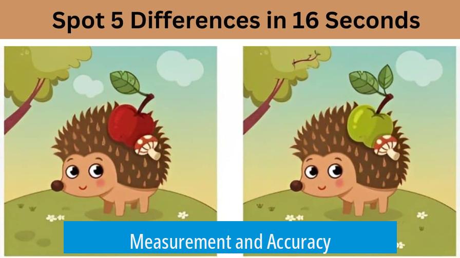 Measurement and Accuracy