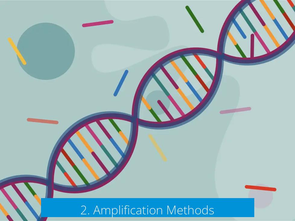 2. Amplification Methods