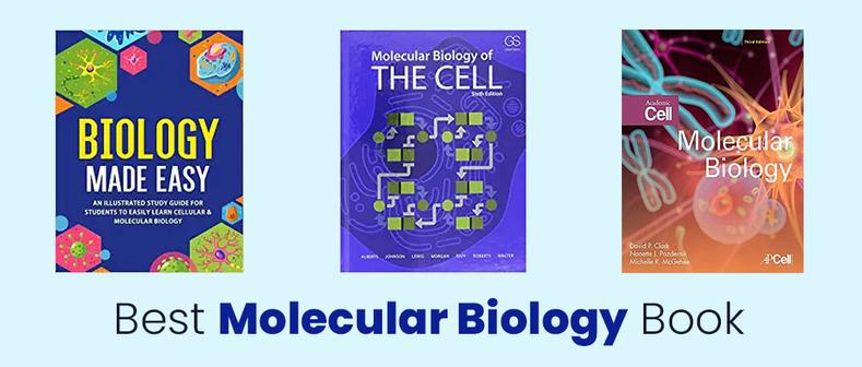 While print editions remain standard, digital versions, including extensive PDFs, sometimes exist unofficially. These can serve as valuable supplementary resources, particularly for theMolecular Biology of the Cellby Lodish, which spans around 2000 pages.