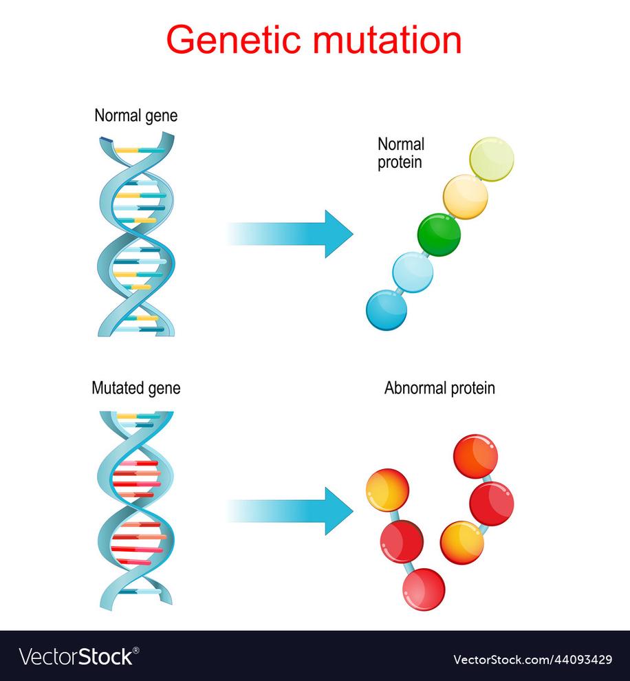 Gene of Interest Insertion: How to Nail It Without Losing Your Mind