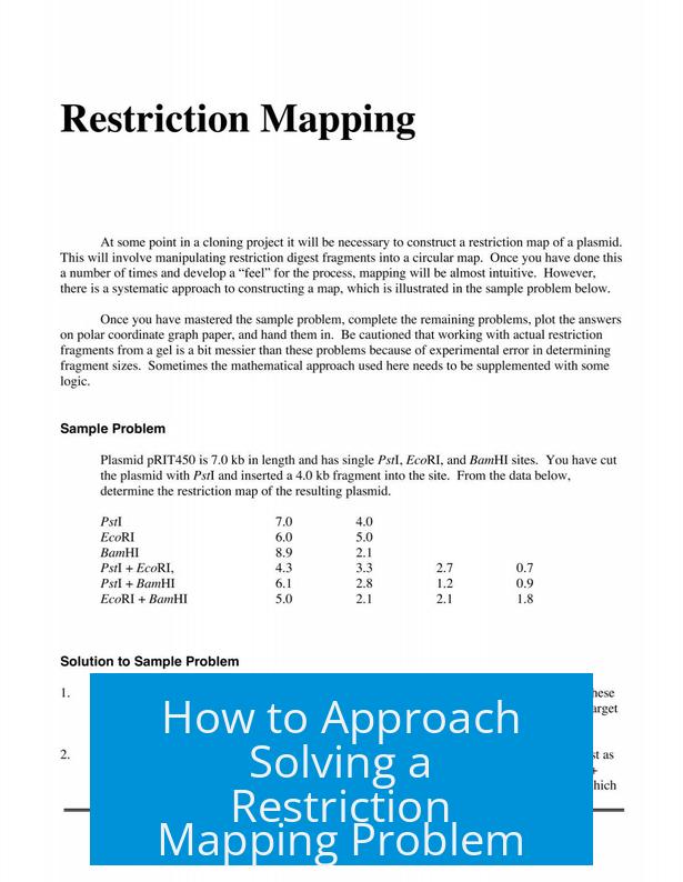 How to Approach Solving a Restriction Mapping Problem