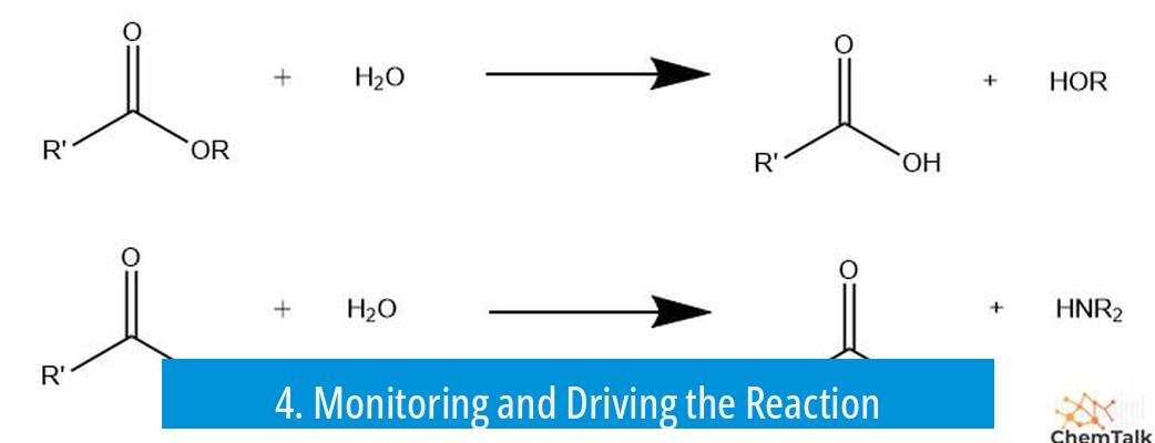 4. Monitoring and Driving the Reaction