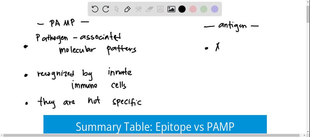 Summary Table: Epitope vs PAMP