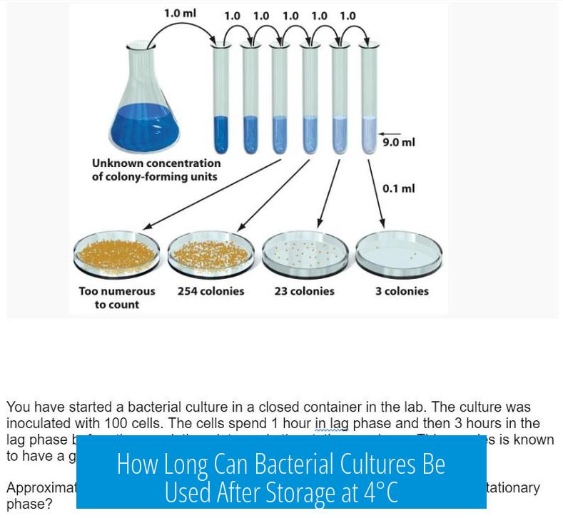 How Long Can Bacterial Cultures Be Used After Storage at 4°C?