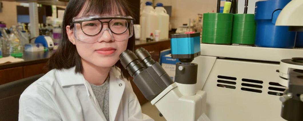 Major Differences Between Molecular Biology and Bioengineering for PhD Programs and General Understanding