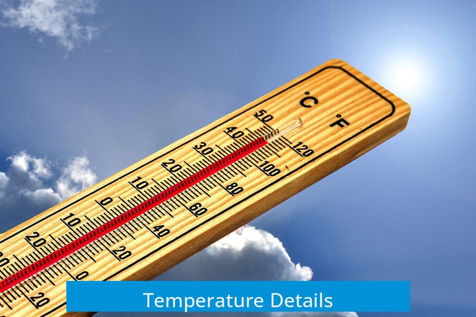 Temperature Details