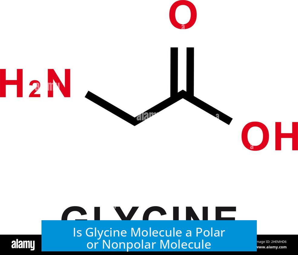 Is Glycine Molecule a Polar or Nonpolar Molecule?