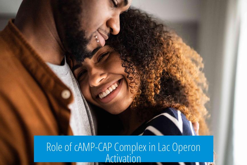 Role of cAMP-CAP Complex in Lac Operon Activation
