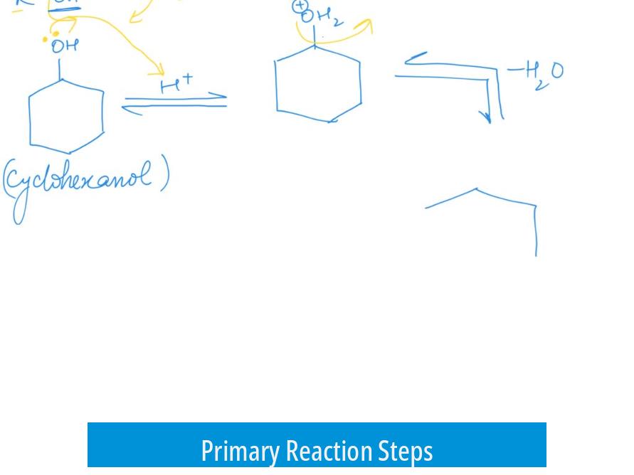 Primary Reaction Steps