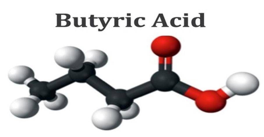 Lessons From the Foul Funk: A Personal Amateur Chemist’s Tale