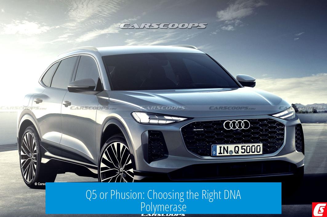 Q5 or Phusion: Choosing the Right DNA Polymerase