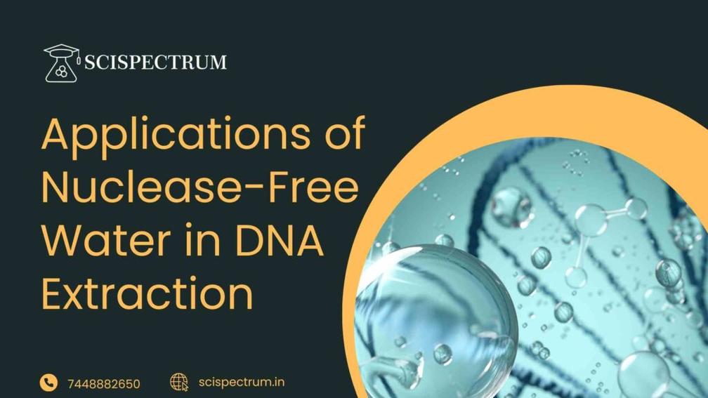 Lessons From the Lab: When Nuclease Free Water Saved the Day