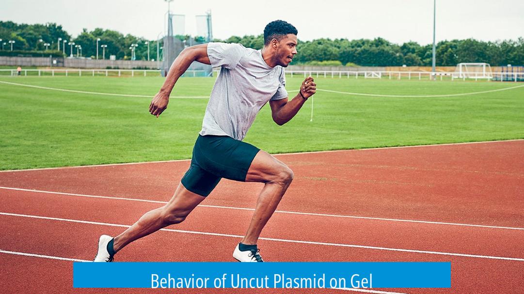 Behavior of Uncut Plasmid on Gel