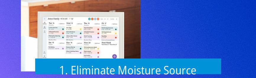 1. Eliminate Moisture Source
