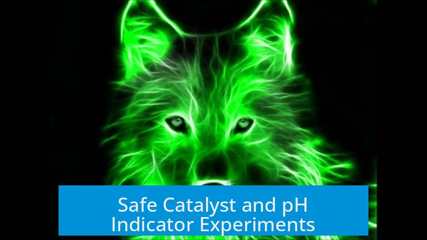 Safe Catalyst and pH Indicator Experiments