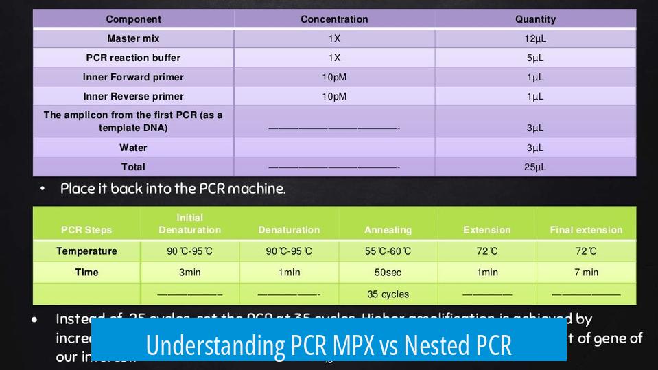 Understanding PCR MPX vs Nested PCR