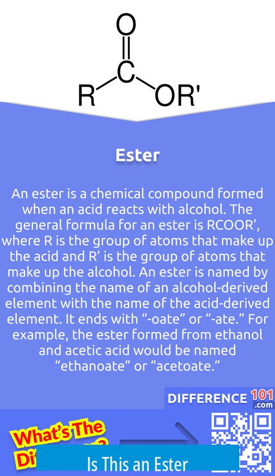 Is This an Ester?