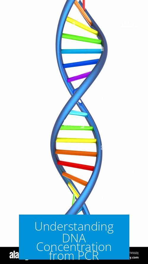 Understanding DNA Concentration from PCR
