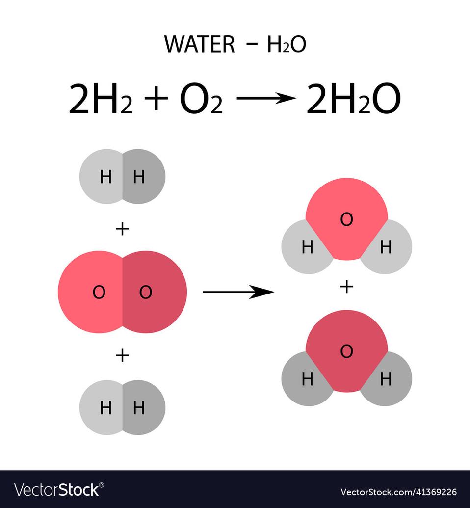 Disproportionation Reaction