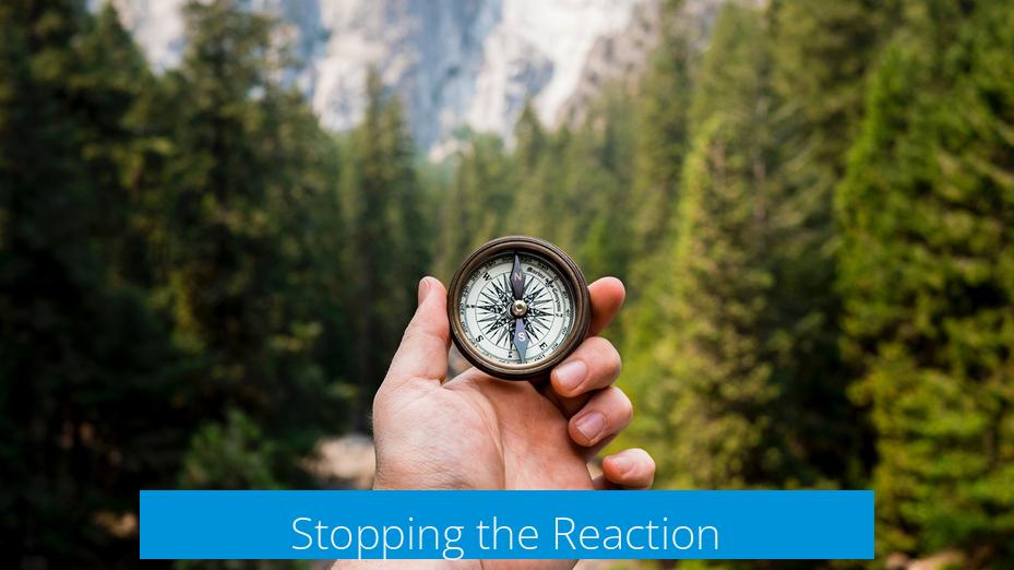 Stopping the Reaction
