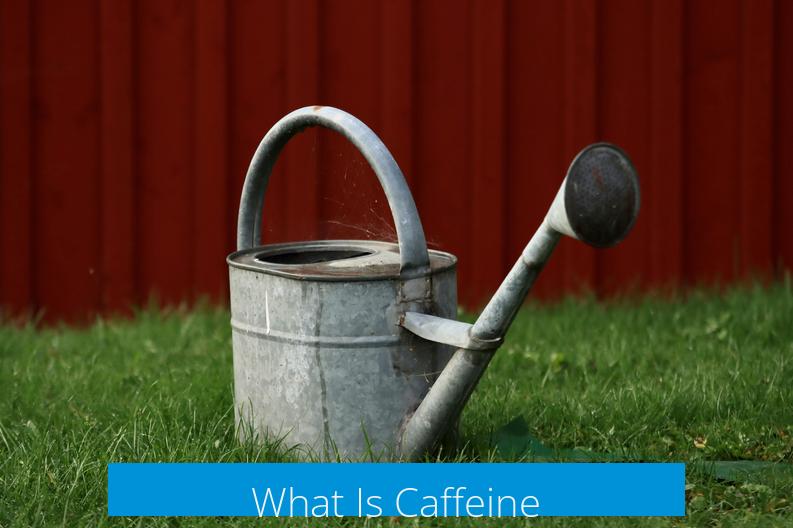 What Is Caffeine?