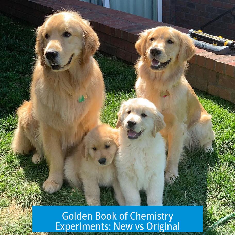 Golden Book of Chemistry Experiments: New vs Original